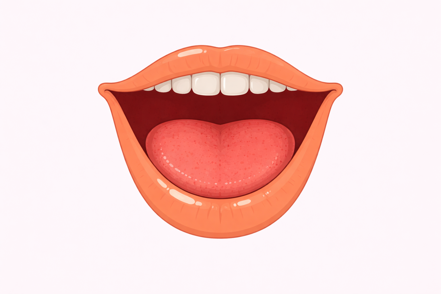 Лопатка: схема рта